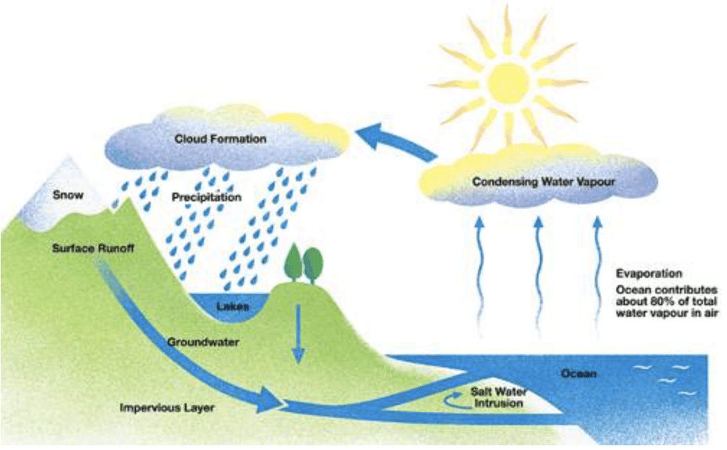 Mô tả quy trình chuyển đổi nước
